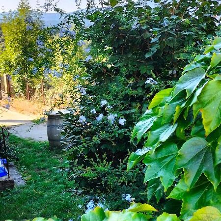 Casa Di Minnana Petreto-Bicchisano エクステリア 写真
