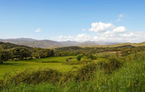 Casa Di Minnana Petreto-Bicchisano エクステリア 写真