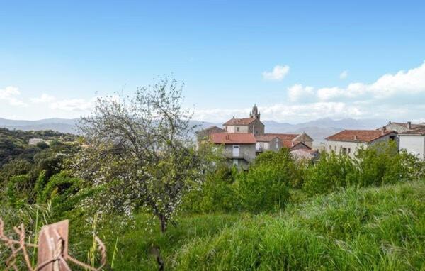 Casa Di Minnana Petreto-Bicchisano エクステリア 写真